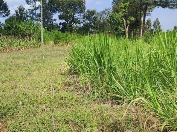Land in Chuka Kibumbu for sale