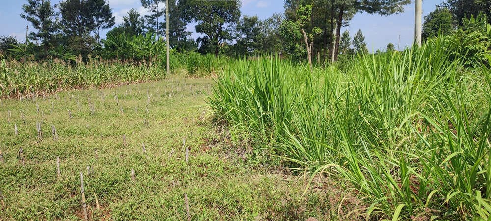 Land in Chuka Kibumbu for sale